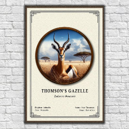 Poster Série de Zoologia da Gazela de Thomson