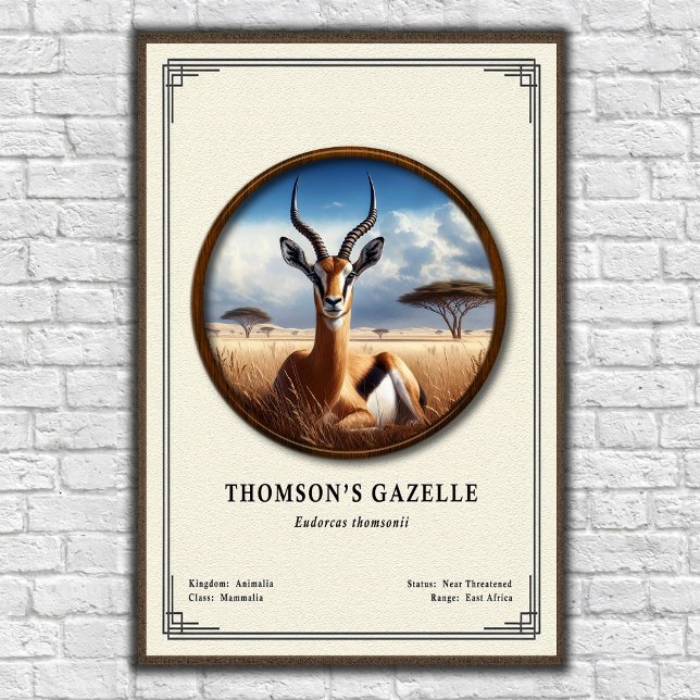 Poster Série de Zoologia da Gazela de Thomson (Criador carregado)