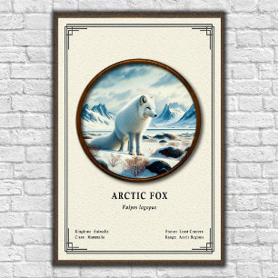 Poster Série de Zoologia da Raposa Ártica