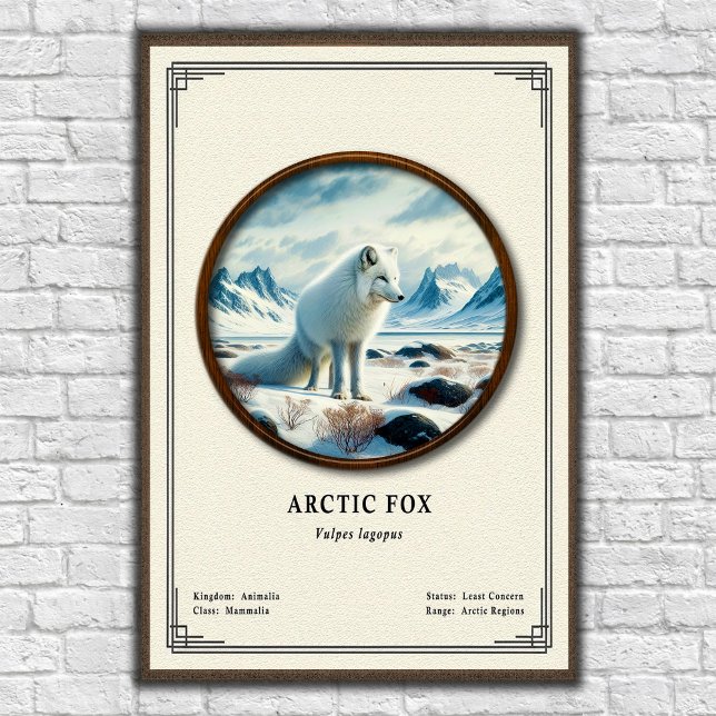 Poster Série de Zoologia da Raposa Ártica (Criador carregado)