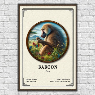 Poster Série de Zoologia de Babuínos