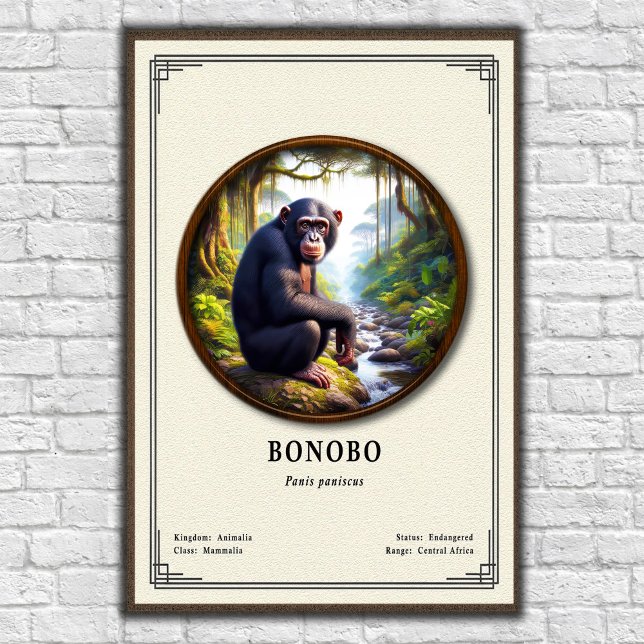 Poster Série de Zoologia de Bonobo (Criador carregado)