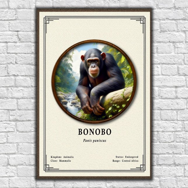 Poster Série de Zoologia de Bonobos (Criador carregado)