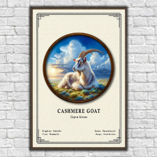 Poster Série de Zoologia de Cabra Cashmere