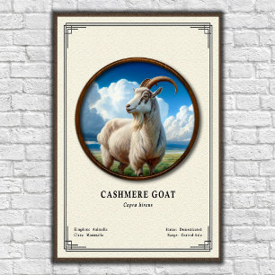 Poster Série de Zoologia de Cabra Cashmere
