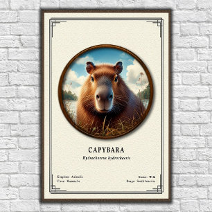 Poster Série de Zoologia de Capivara