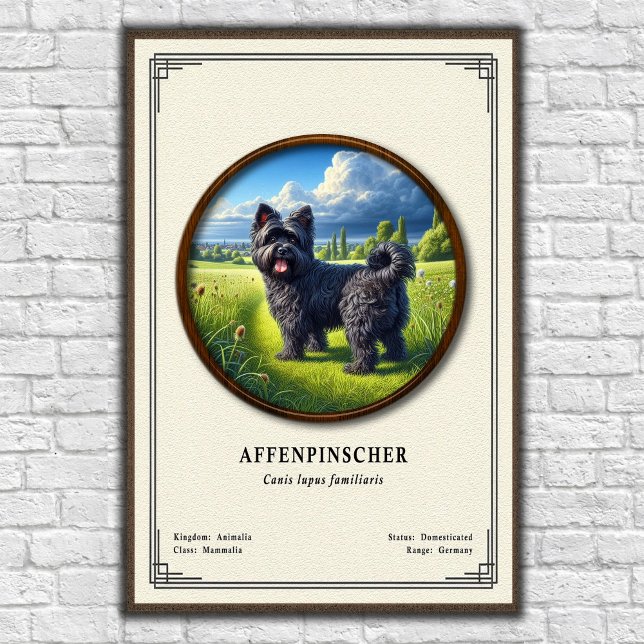 Poster Série de Zoologia do Affenpinscher (Criador carregado)