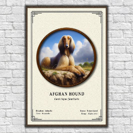 Poster Série de Zoologia do Afghan Hound