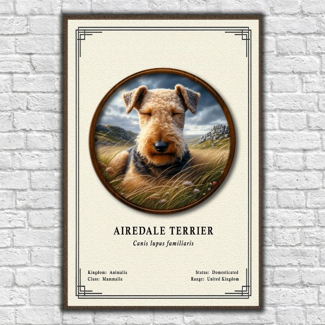 Poster Série de Zoologia do Airedale Terrier (Criador carregado)