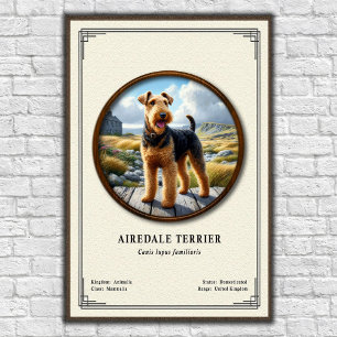 Poster Série de Zoologia do Airedale Terrier