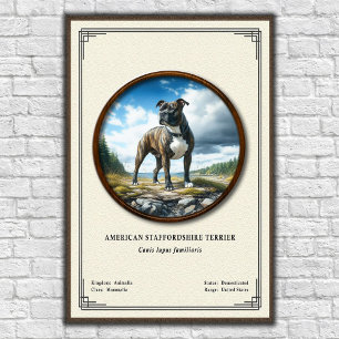 Poster Série de Zoologia do American Staffordshire Terrie