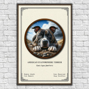 Poster Série de Zoologia do American Staffordshire Terrie