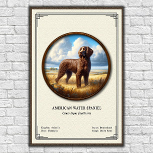 Poster Série de Zoologia do American Water Spaniel