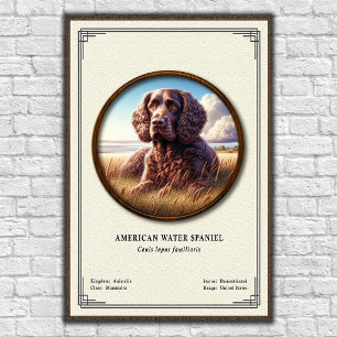 Poster Série de Zoologia do American Water Spaniel
