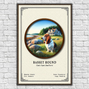 Poster Série de Zoologia do Basset Hound