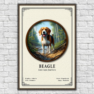 Poster Série de Zoologia do Beagle