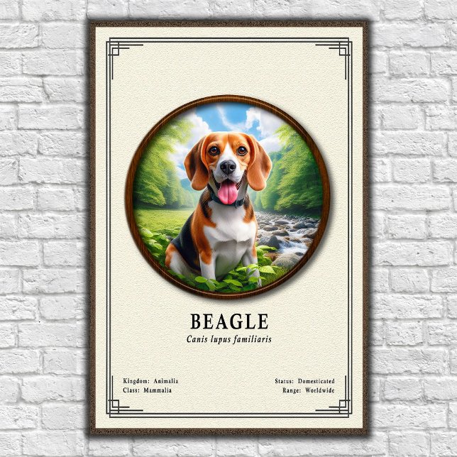 Poster Série de Zoologia do Beagle (Criador carregado)