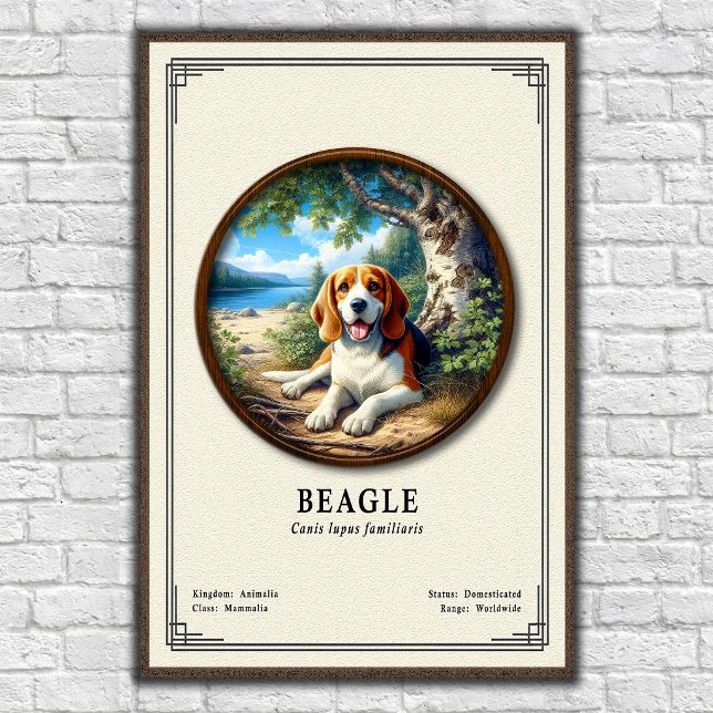 Poster Série de Zoologia do Beagle (Criador carregado)