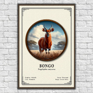 Poster Série de Zoologia do Bongo