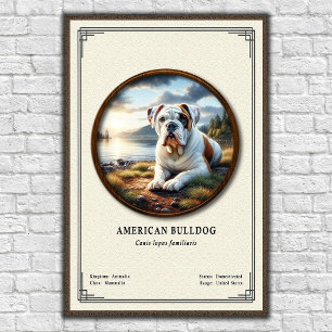 Poster Série de Zoologia do Bulldog Americano