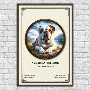 Poster Série de Zoologia do Bulldog Americano