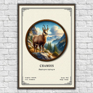 Poster Série de Zoologia do Camurça