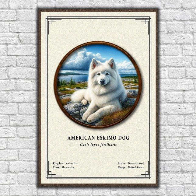 Poster Série de Zoologia do Cão Esquimó Americano (Criador carregado)