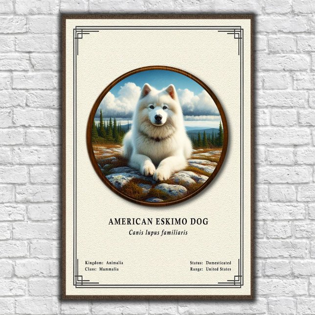 Poster Série de Zoologia do Cão Esquimó Americano (Criador carregado)