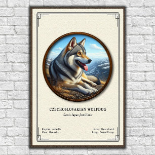 Poster Série de Zoologia do Cão Lobo Checoslovaco
