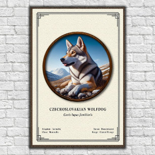 Poster Série de Zoologia do Cão Lobo Checoslovaco