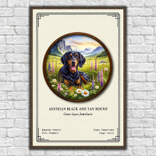 Poster Série de Zoologia do Cão Preto e Tanoeiro Austríac