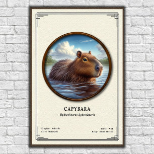 Poster Série de Zoologia do Capivara