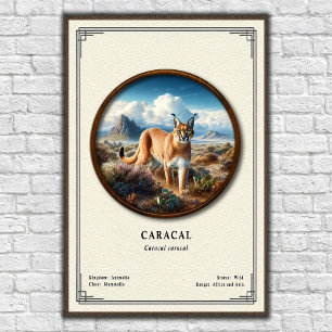 Poster Série de Zoologia do Caracal