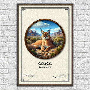 Poster Série de Zoologia do Caracal