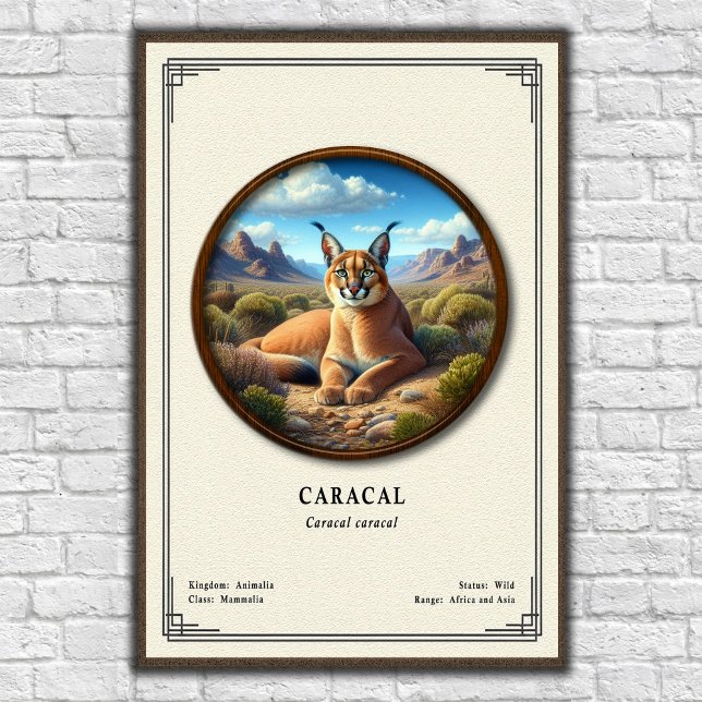 Poster Série de Zoologia do Caracal (Criador carregado)