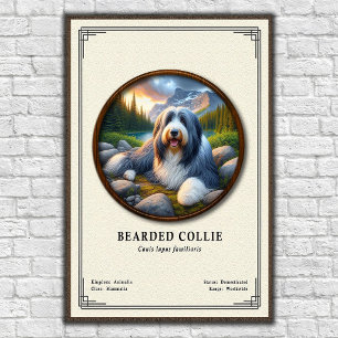 Poster Série de Zoologia do Collie Barbudo