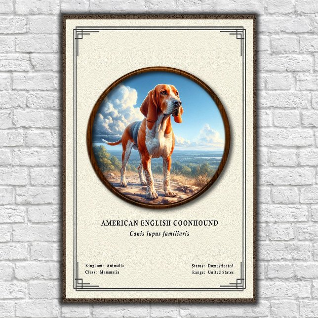 Poster Série de Zoologia do Coonhound Americano (Criador carregado)