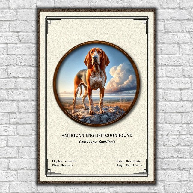 Poster Série de Zoologia do Coonhound Americano (Criador carregado)