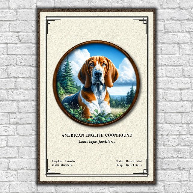 Poster Série de Zoologia do Coonhound Americano (Criador carregado)