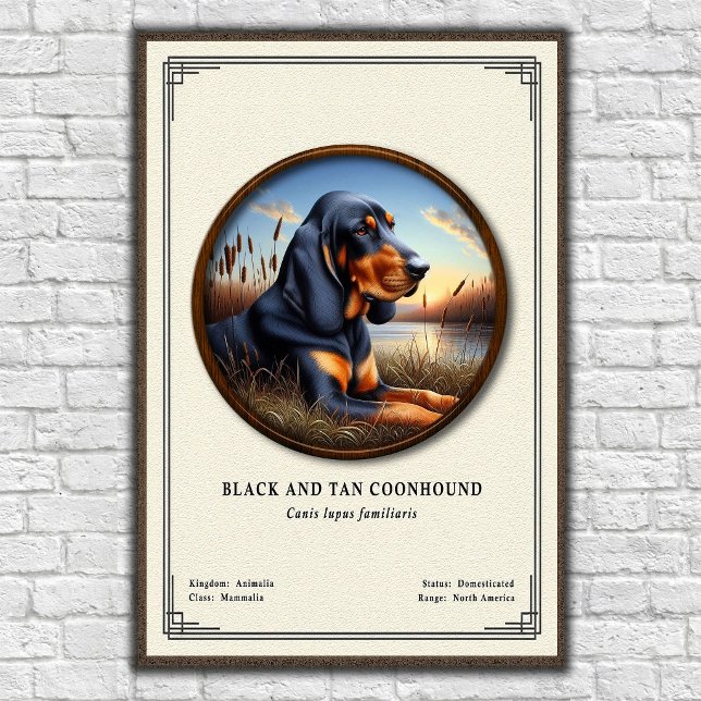 Poster Série de Zoologia do Coonhound Black and Tan (Criador carregado)