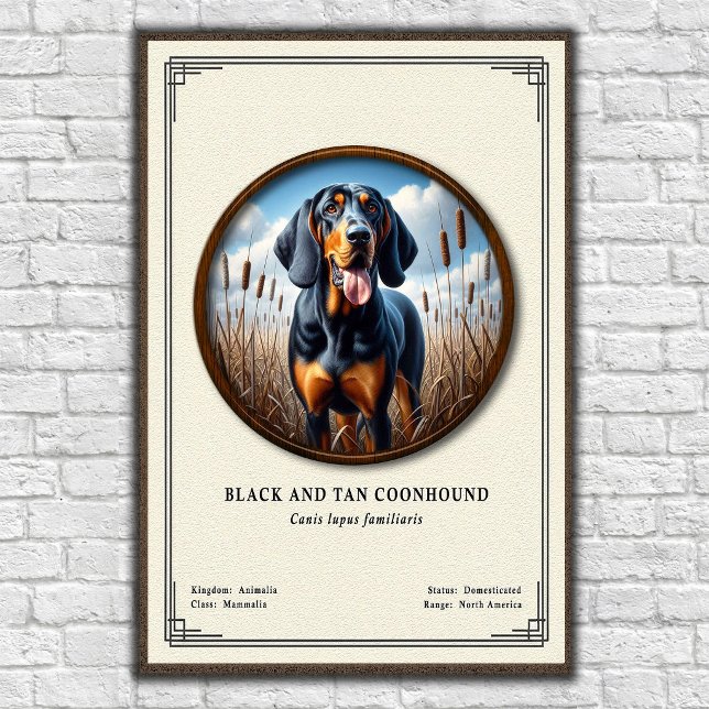 Poster Série de Zoologia do Coonhound Black and Tan (Criador carregado)