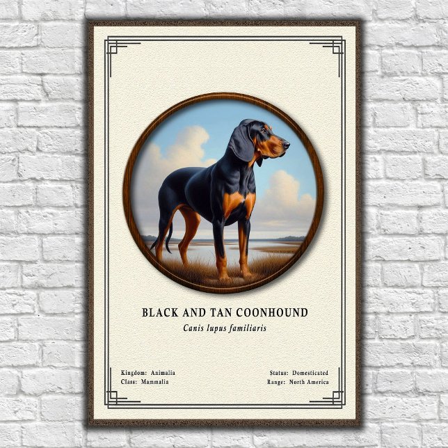 Poster Série de Zoologia do Coonhound Black e Tan (Criador carregado)