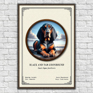 Poster Série de Zoologia do Coonhound Black e Tan