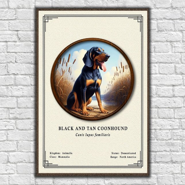 Poster Série de Zoologia do Coonhound Black e Tan (Criador carregado)