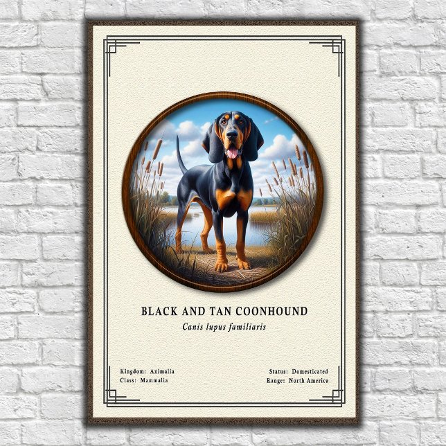 Poster Série de Zoologia do Coonhound Black e Tan (Criador carregado)