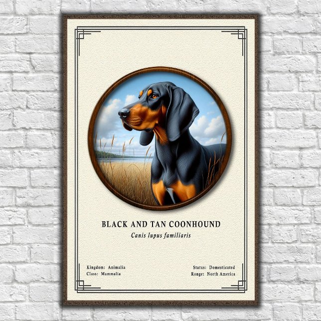 Poster Série de Zoologia do Coonhound Black e Tan (Criador carregado)