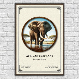 Poster Série de Zoologia do Elefante Africano