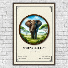 Poster Série de Zoologia do Elefante Africano
