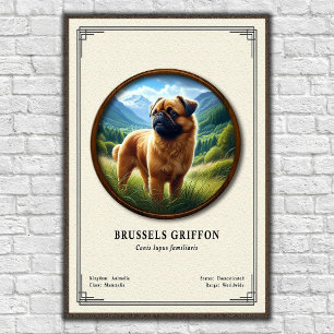 Poster Série de Zoologia do Griffon de Bruxelas