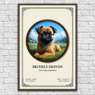 Poster Série de Zoologia do Griffon de Bruxelas